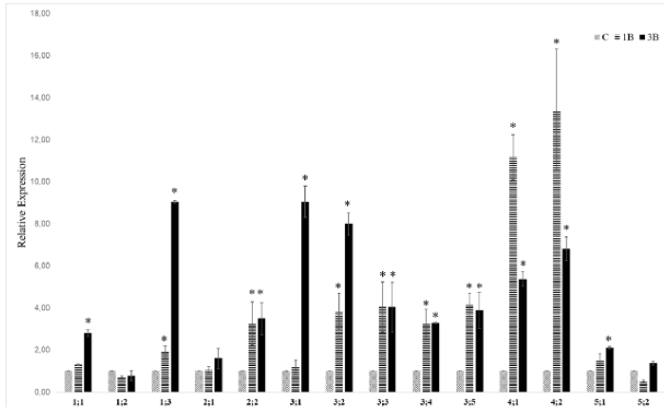Boron toxicity induces sulfate transporters at transcriptional level in Arabidopsis thaliana